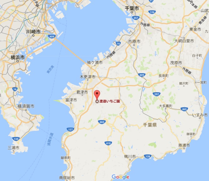 f:id:bucchiz:20170321231539j:plain f:id:bucchiz:20170321231539j:plain